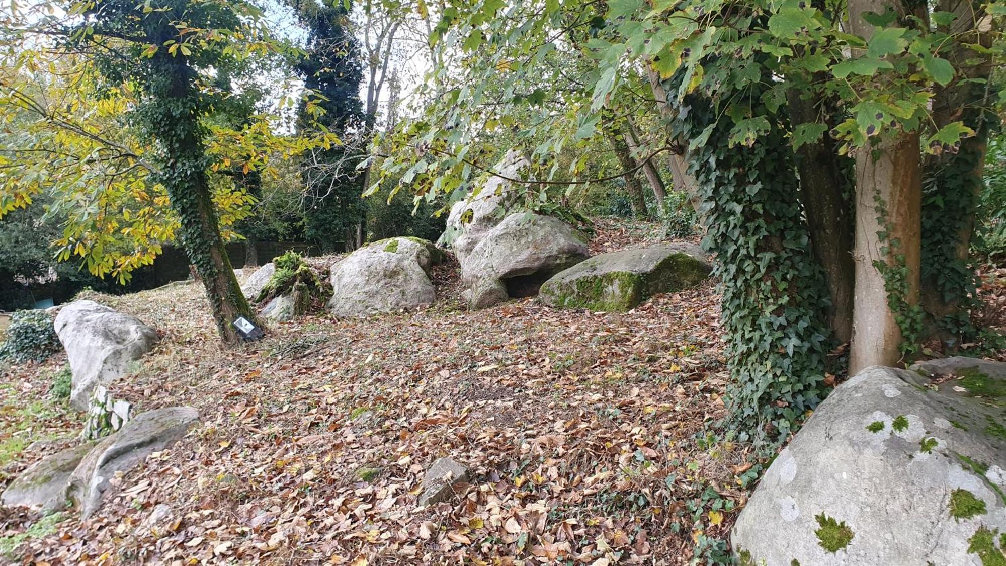 Bed and Breakfast Le Jardin Des Roches Moigny Esterno foto