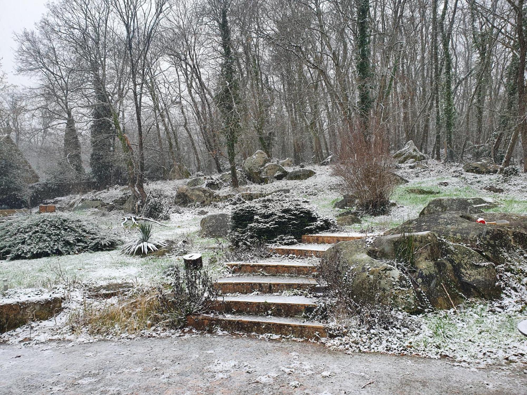 Bed and Breakfast Le Jardin Des Roches Moigny Esterno foto