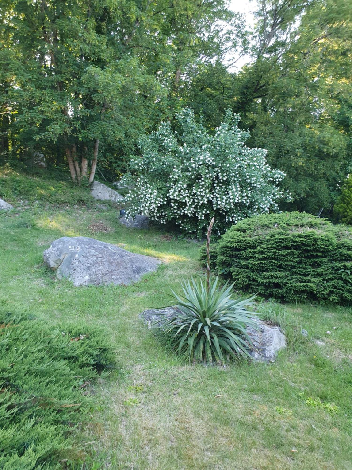Bed and Breakfast Le Jardin Des Roches Moigny Esterno foto